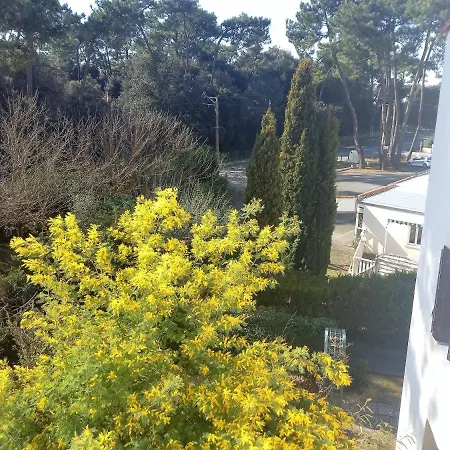 Saint Georges de Didonne APPARTEMENT MEZZANINE 3 min a pied de LA PLAGE Saint-Georges-de-Didonne